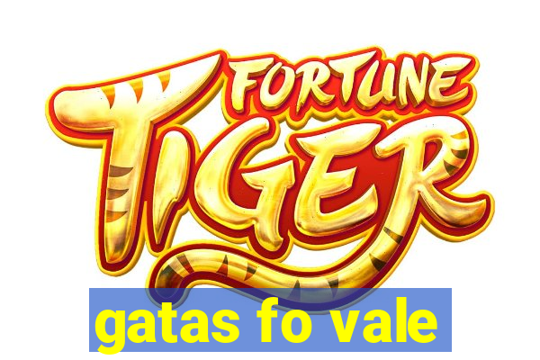 gatas fo vale